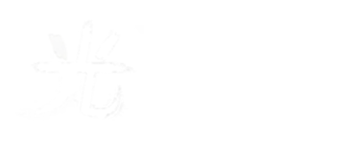 Team Hikari